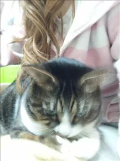 愛羽 仁美