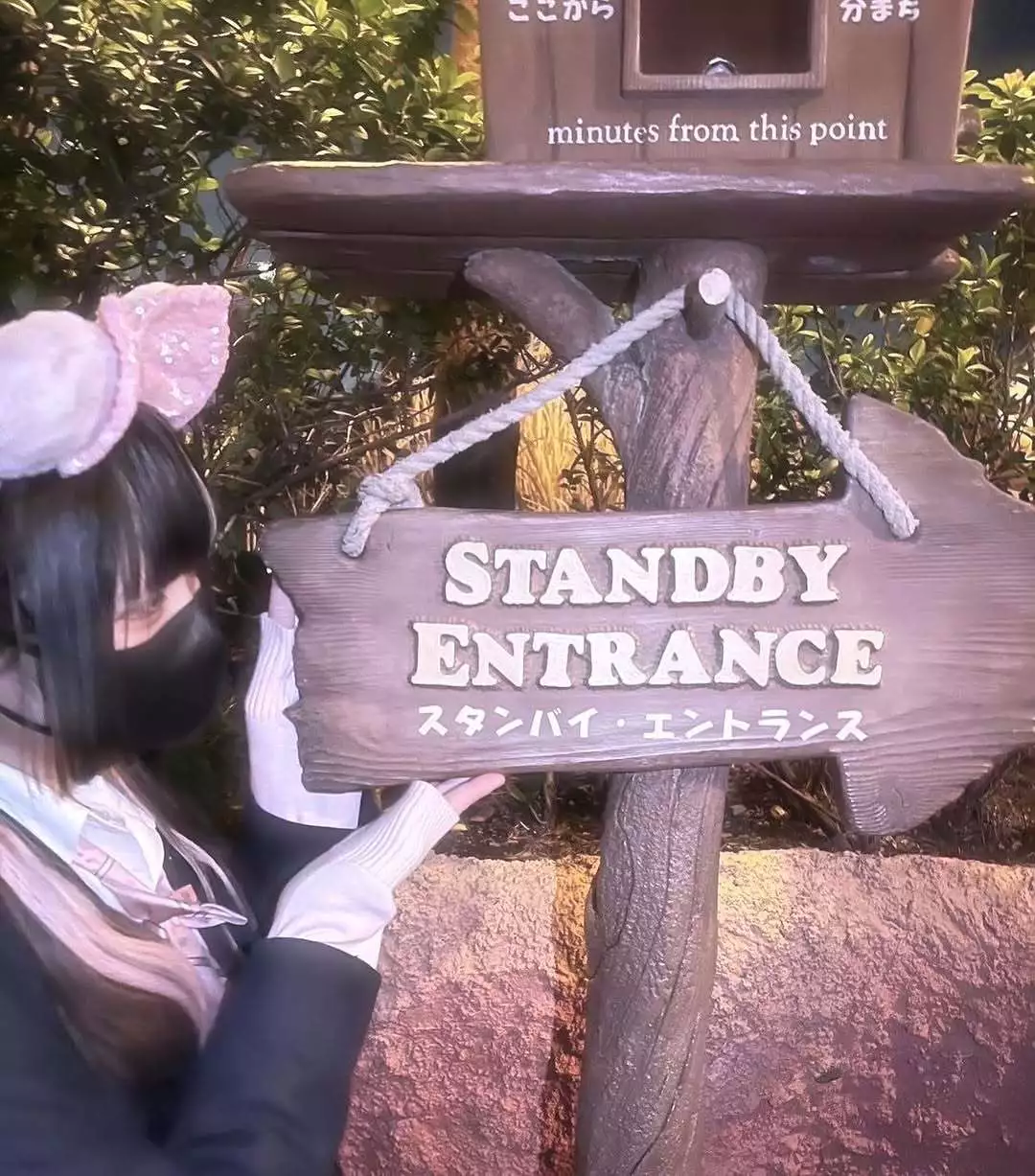 サヤ