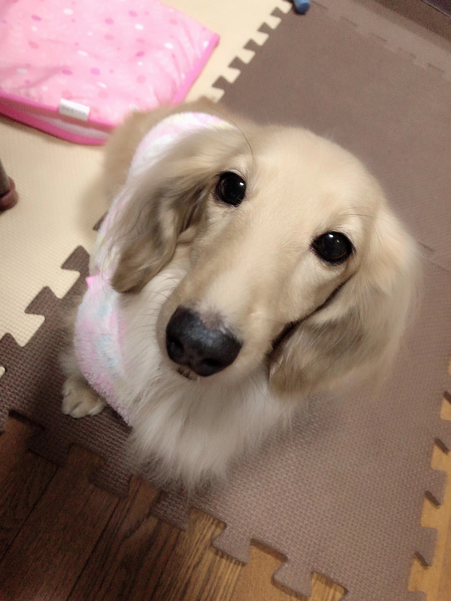 あや