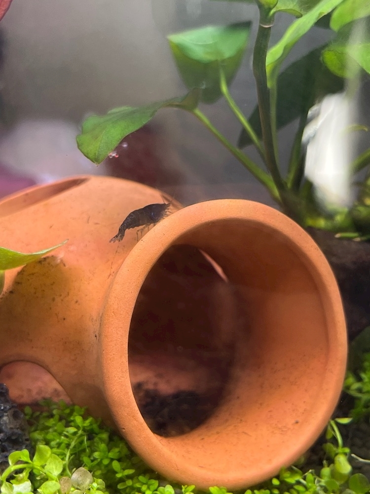 ナミ
