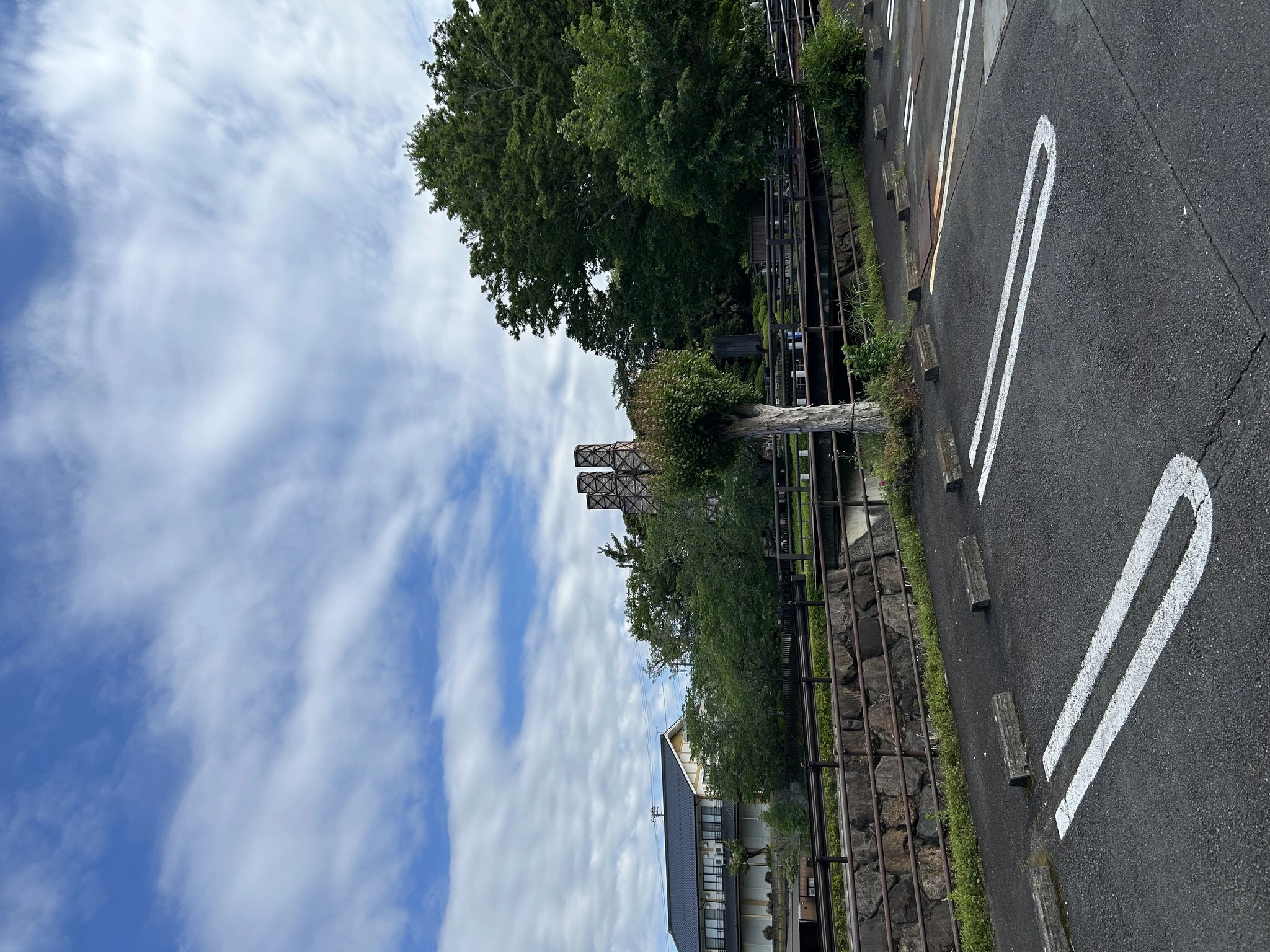桜井 ちひろ