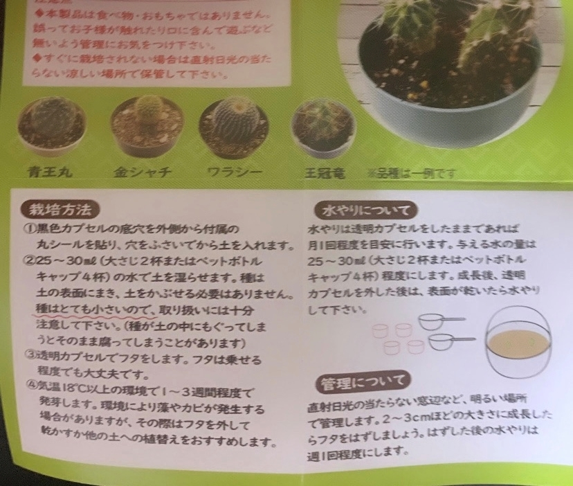 あや