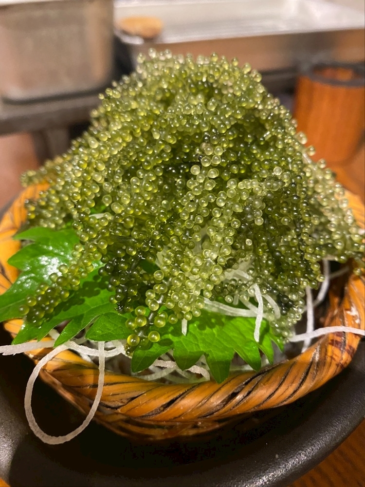 一条 みさき