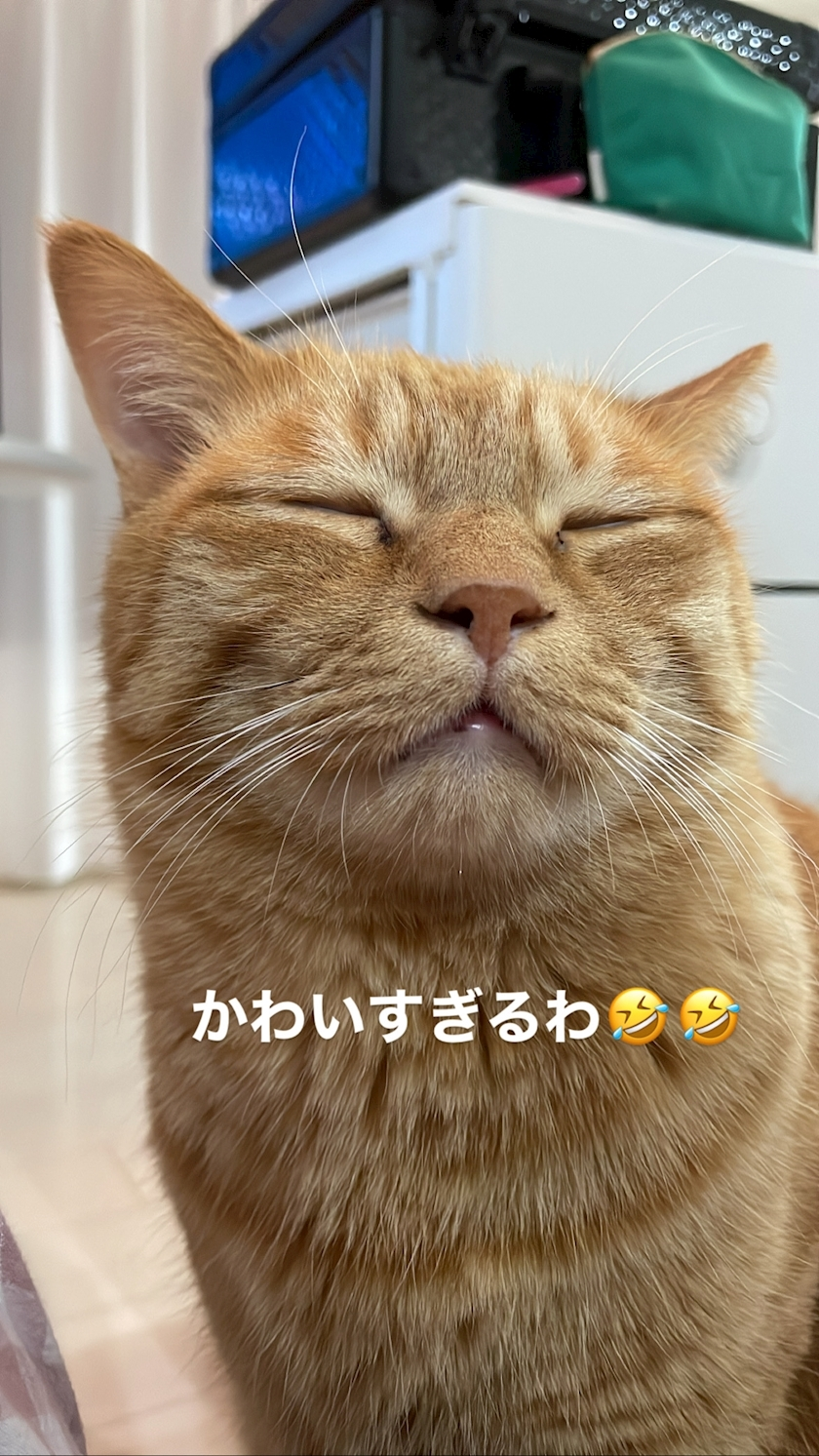 水城 百合