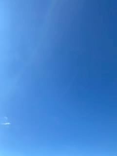 京 さゆみ