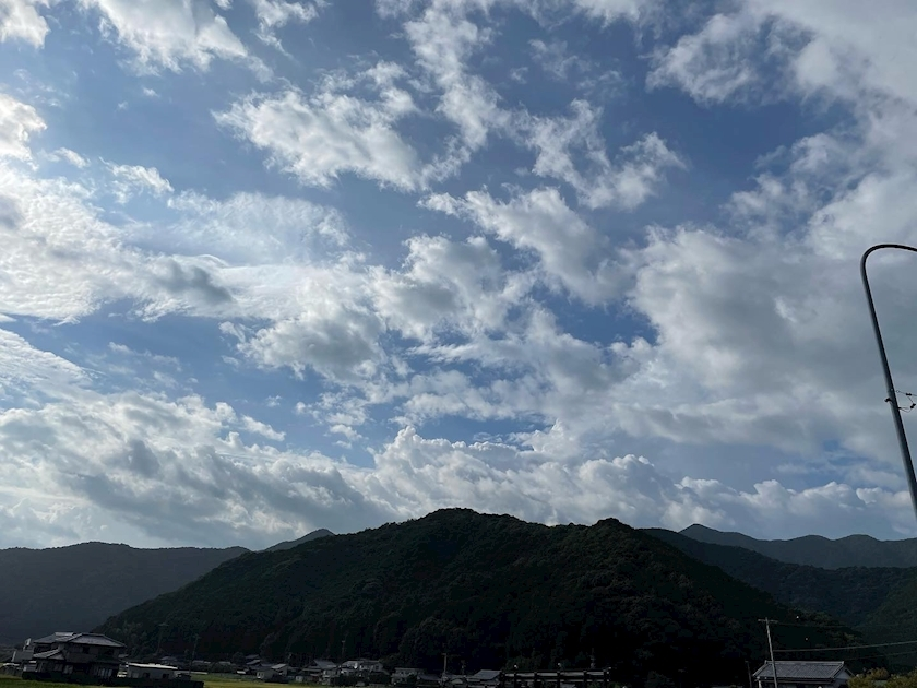 朝倉 しおり