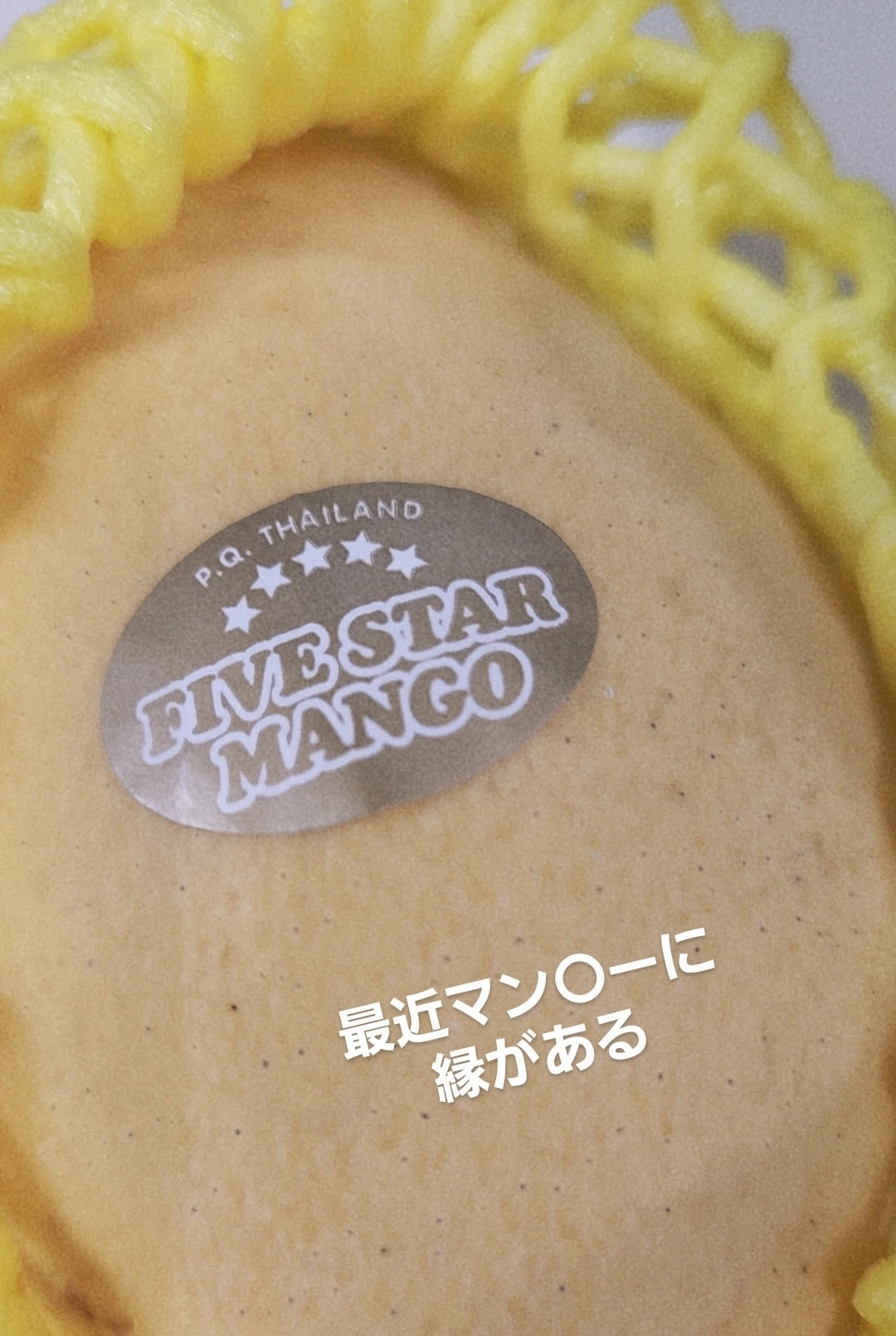 紫音