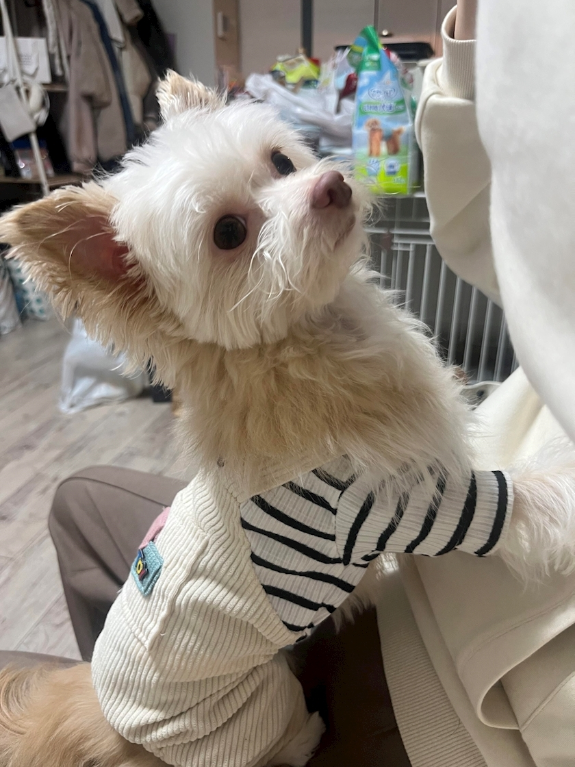 七夕 ゆき