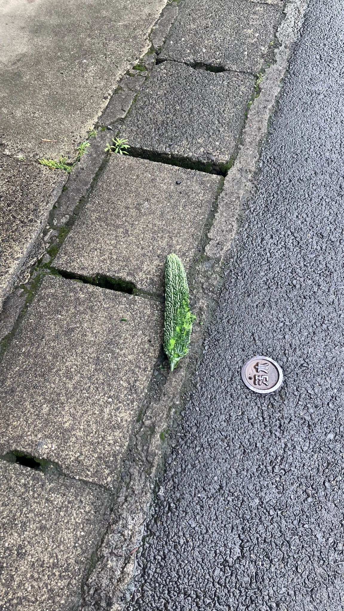 かずは