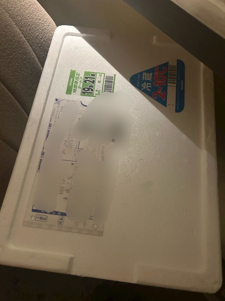 湊崎 さな