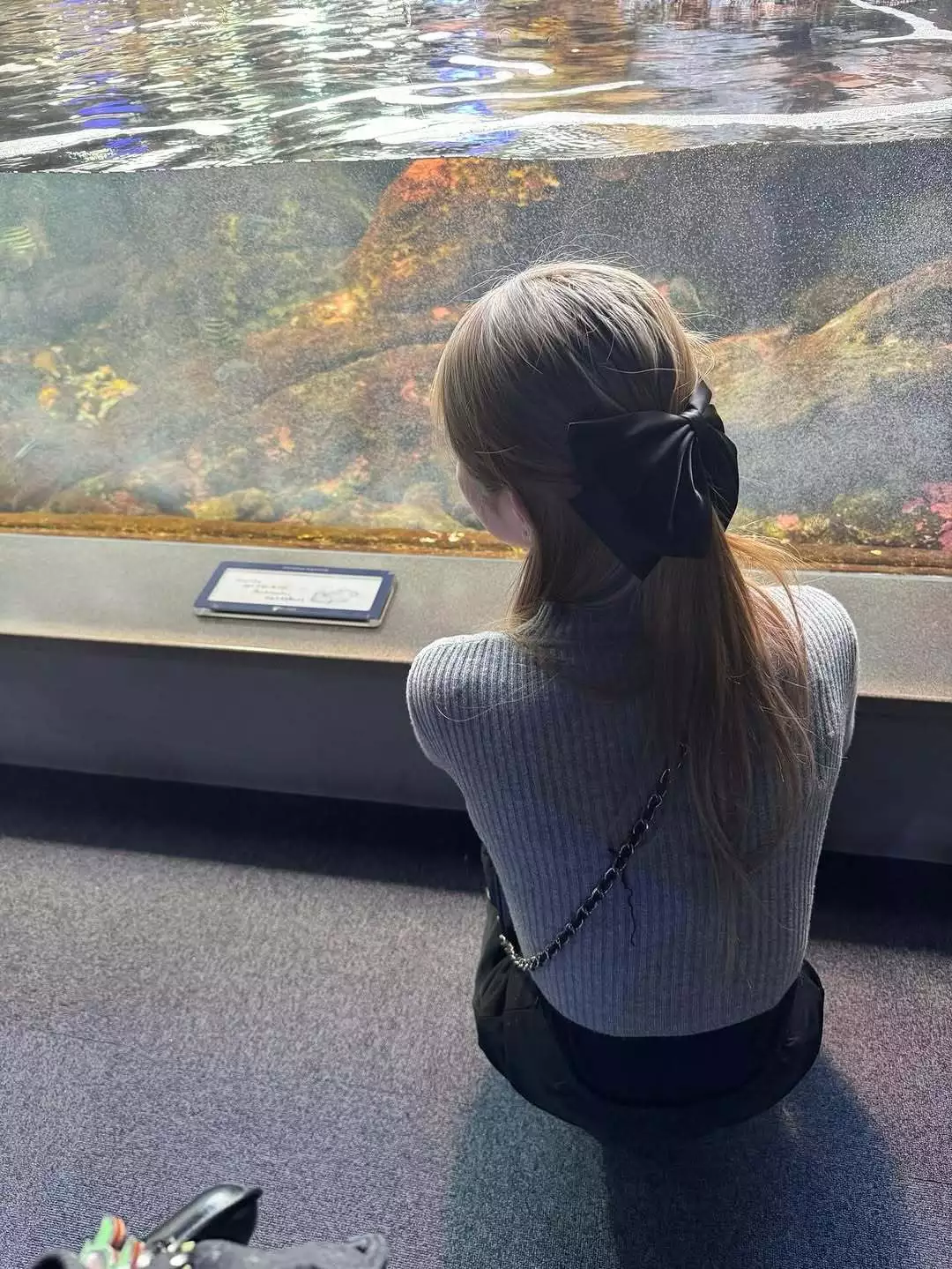 さや