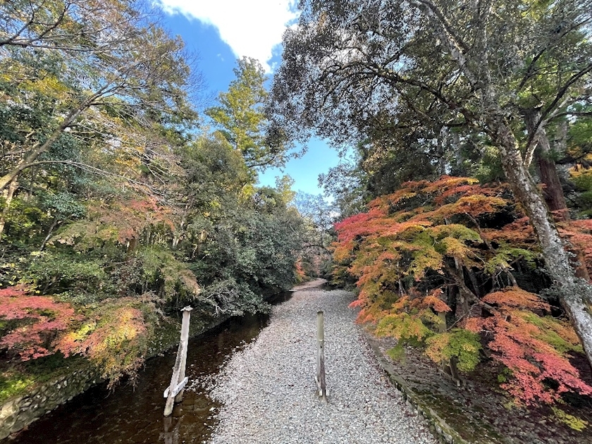 朝倉 しおり