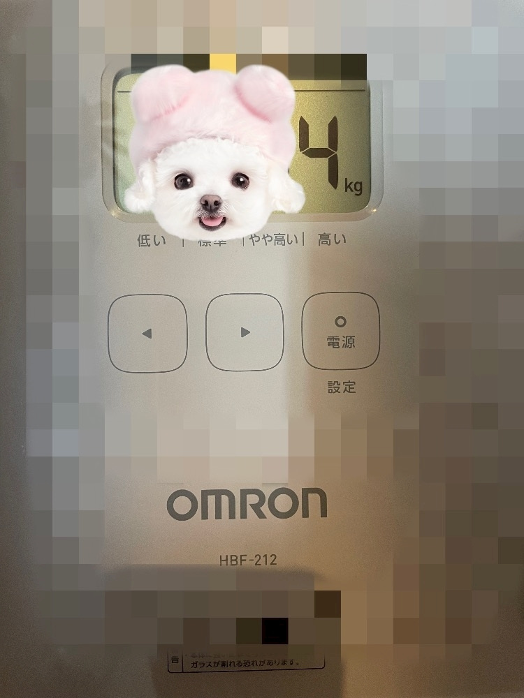 四宮 ねこ