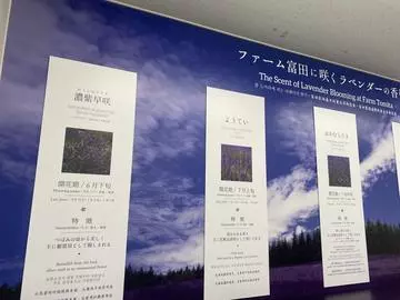 長瀬 純恋