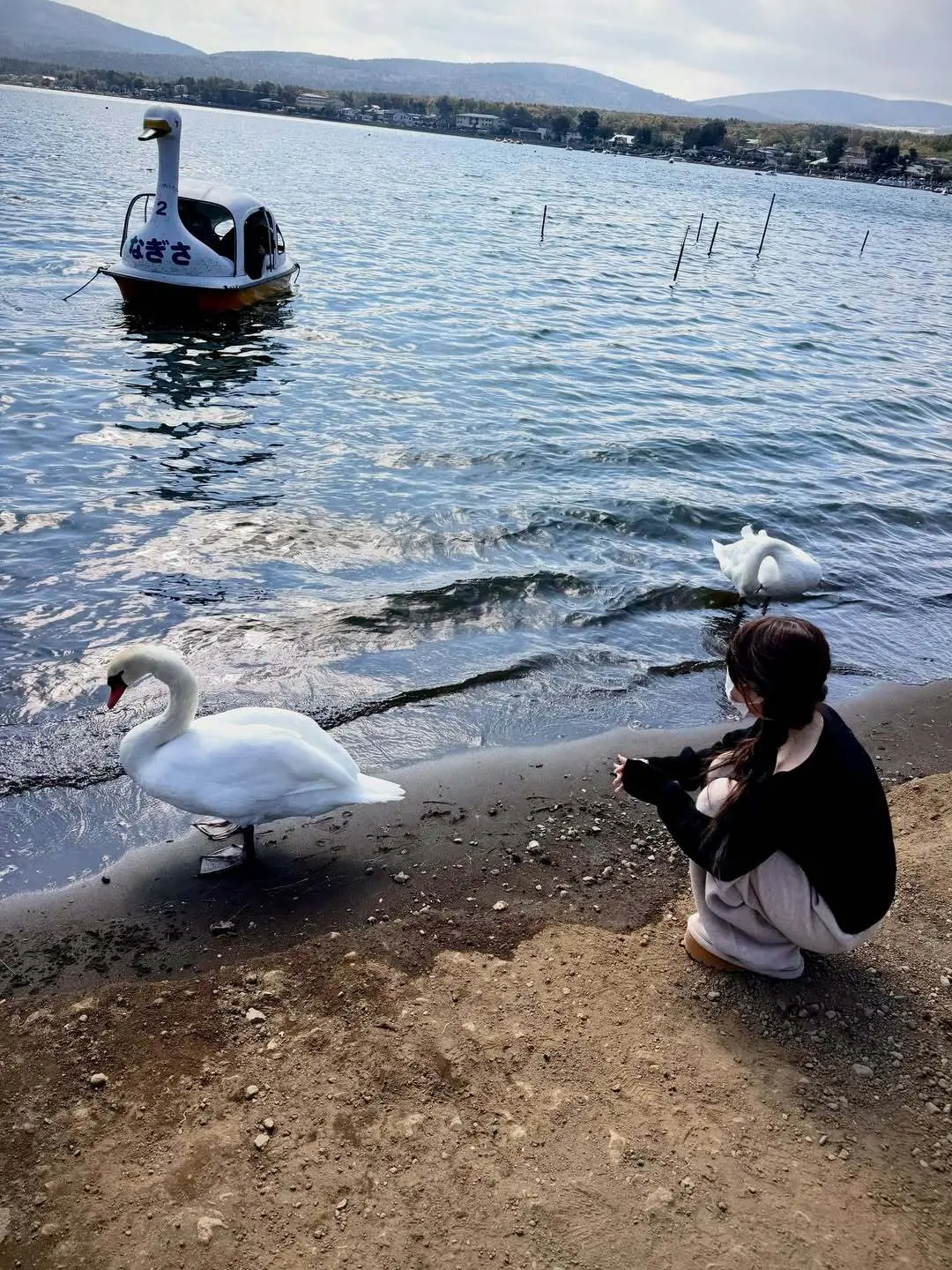 桜井 みなみ