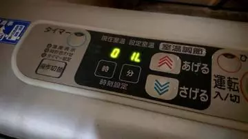ひな