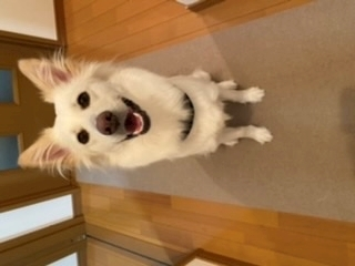京 さゆみ