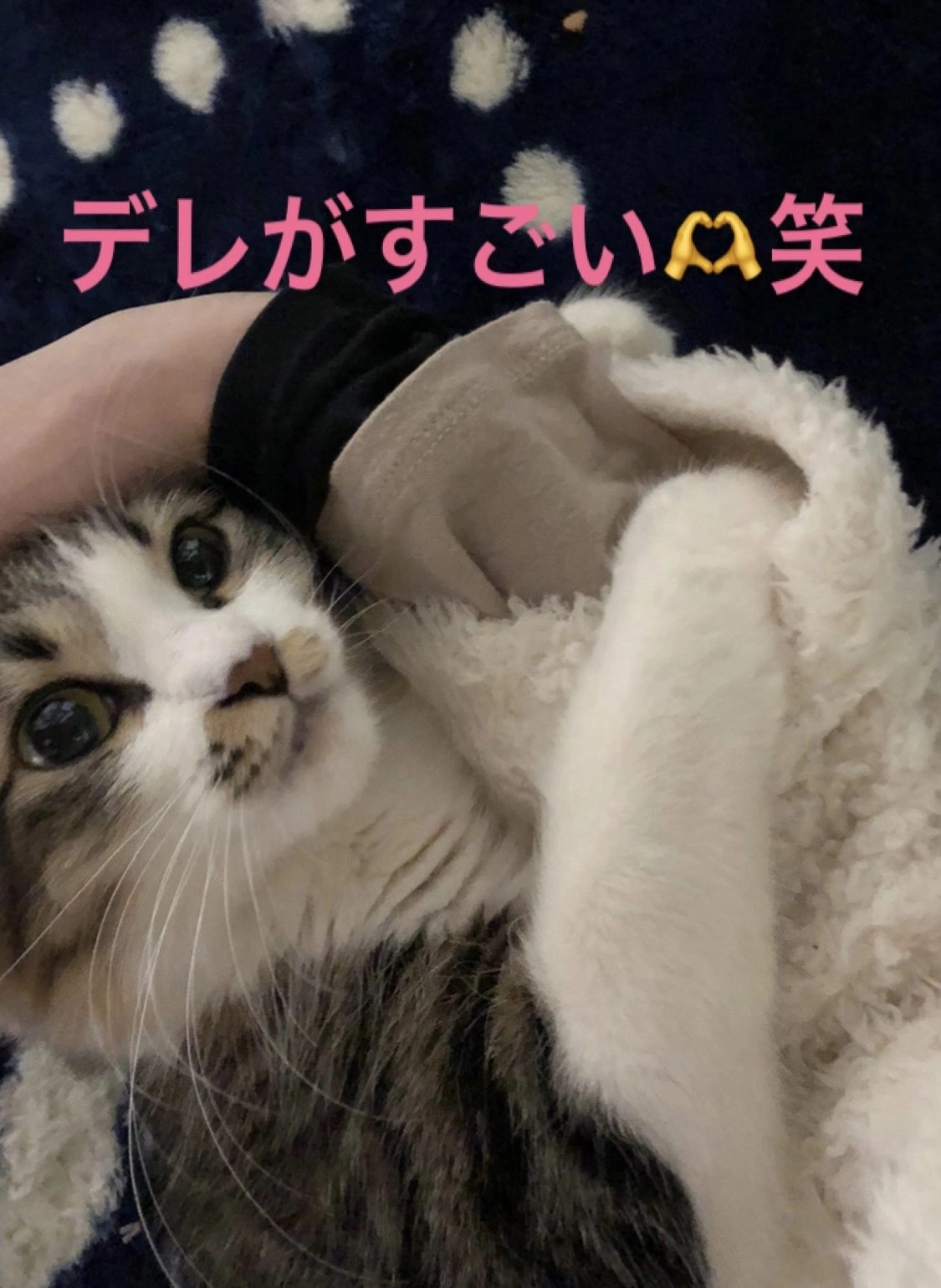 翠