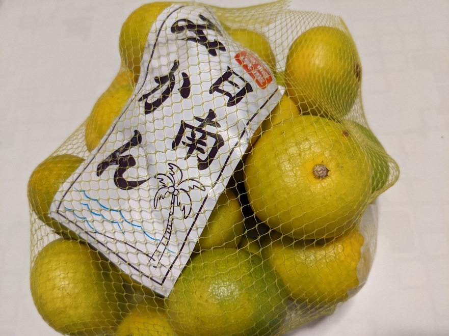 五条 椿