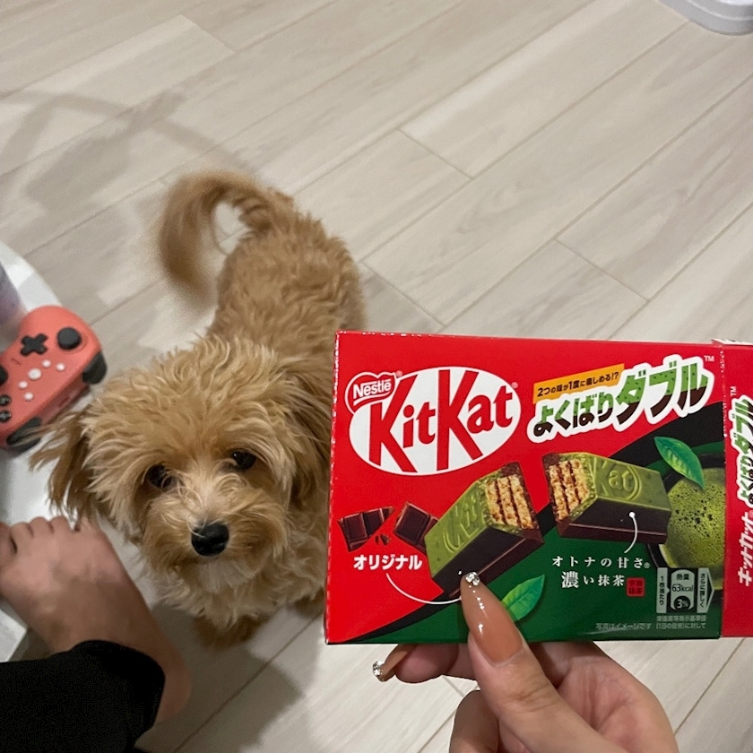五条 はるな