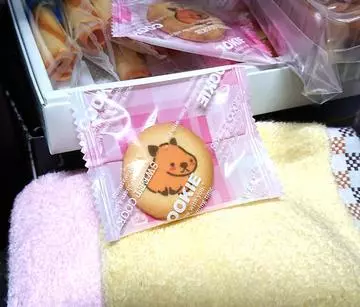 ひな