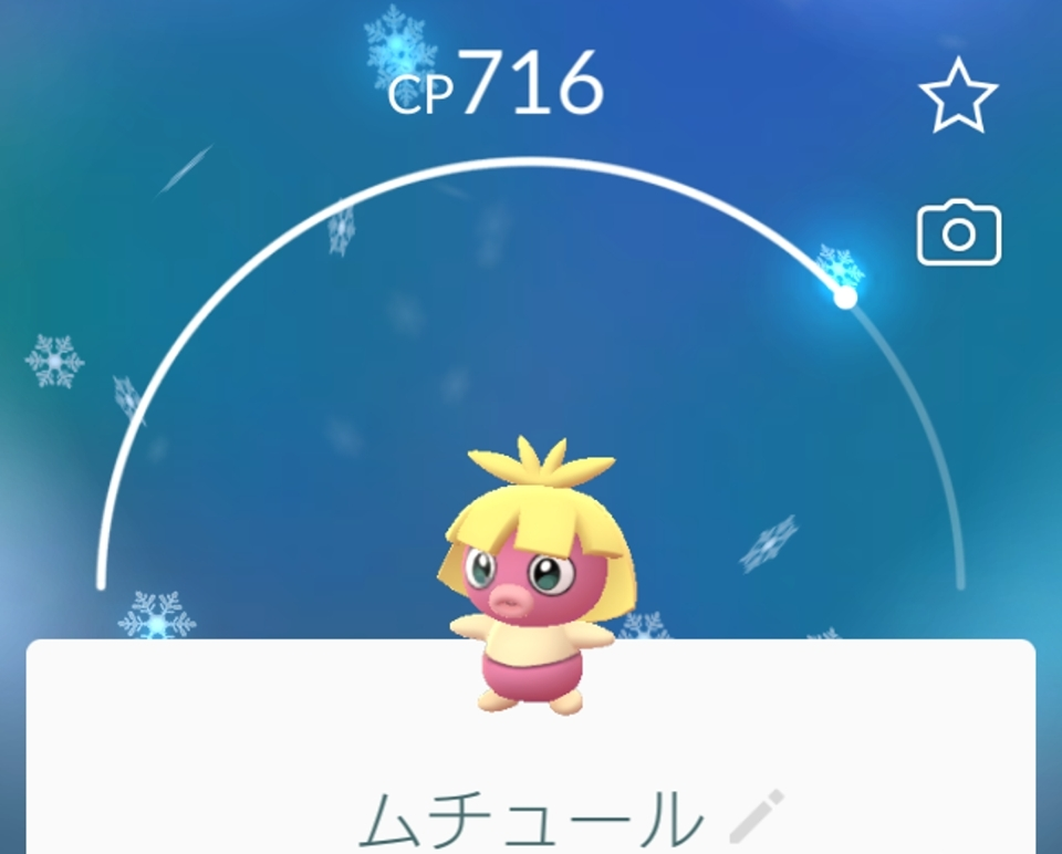 五条 椿