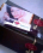 紫音