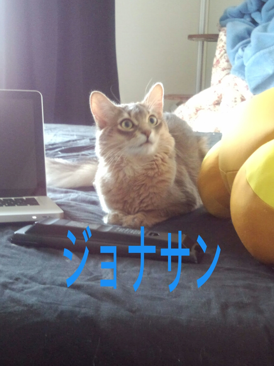 橘 あんな