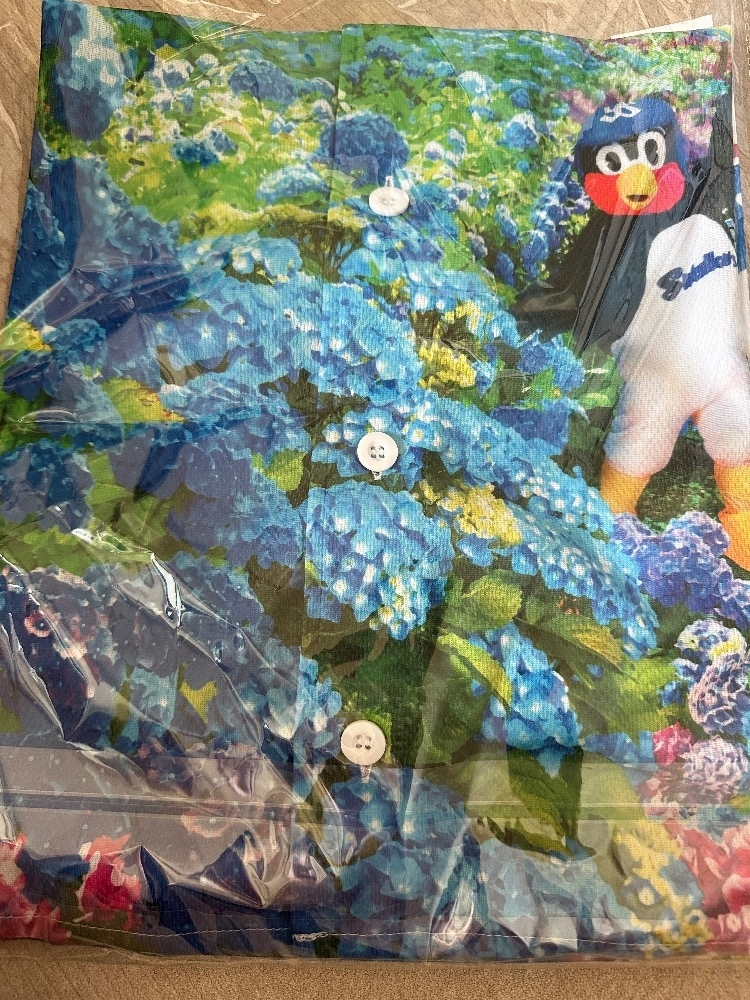 七瀬 えみり