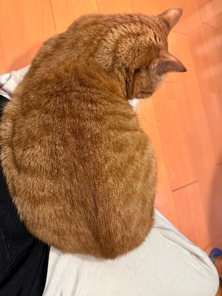 らい