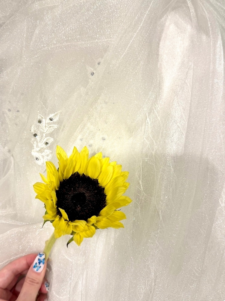 檀 れん