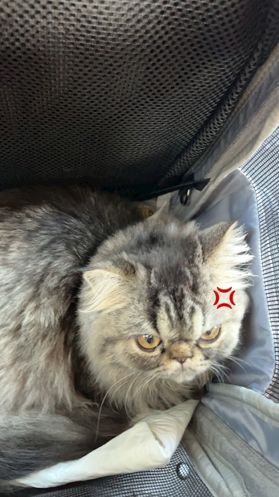 なつき