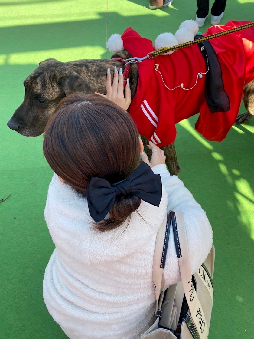 高槻 かえで
