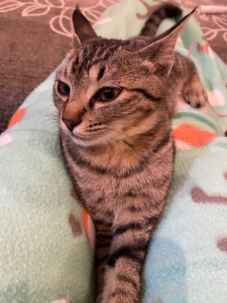 ルナ