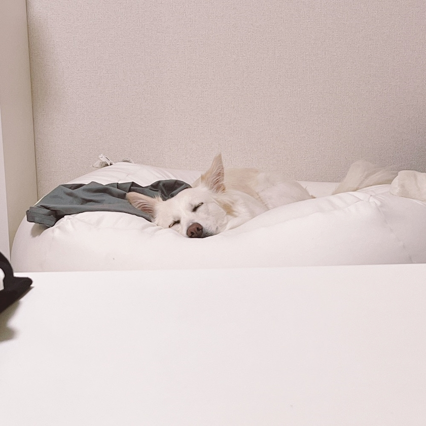 京 さゆみ