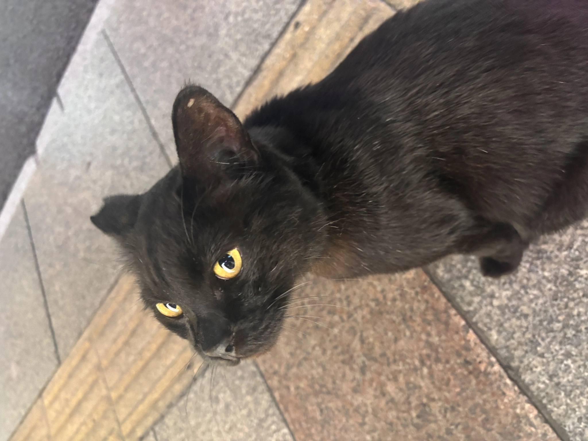 ふあ