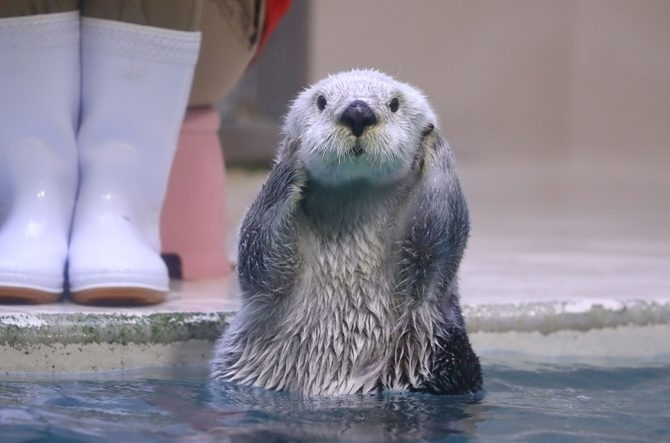 一ノ瀬 はづき