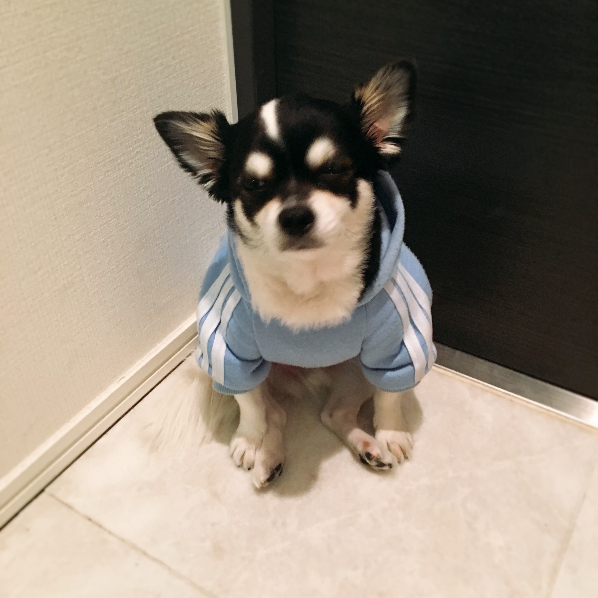 前田 えま