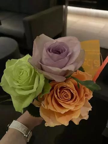 白石 愛莉