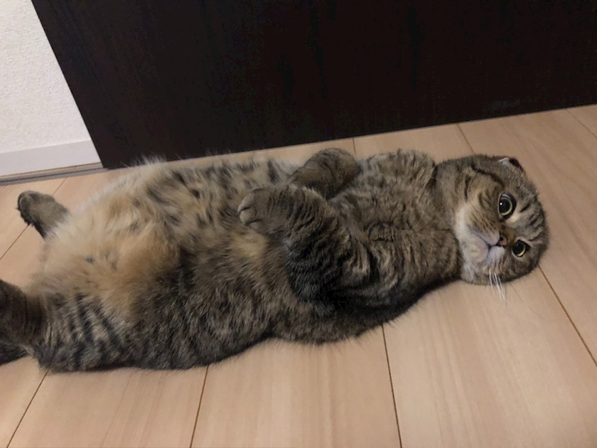 ハルカ