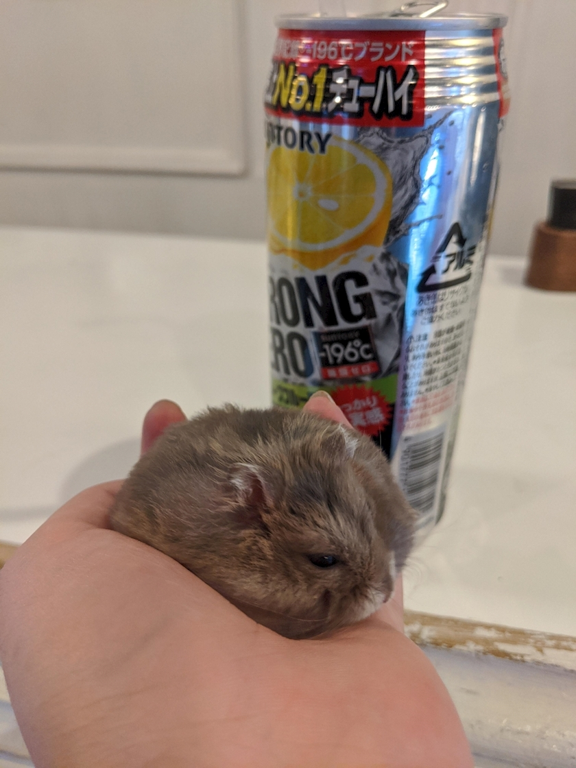 もぐこ