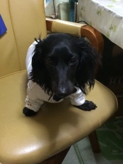 りえ