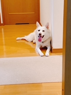 京 さゆみ