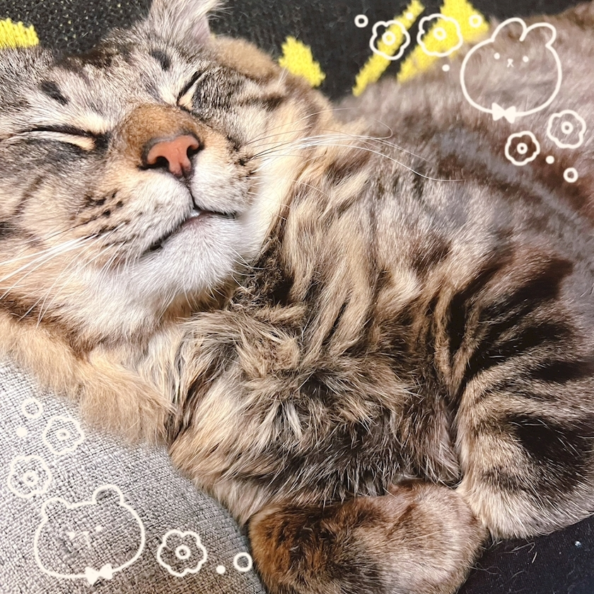 杉谷 ちなみ