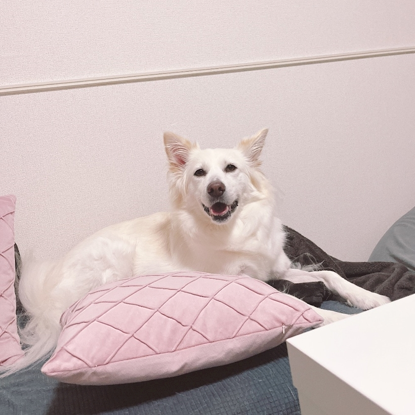 京 さゆみ