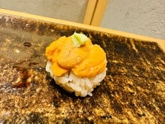 灯 ひなた