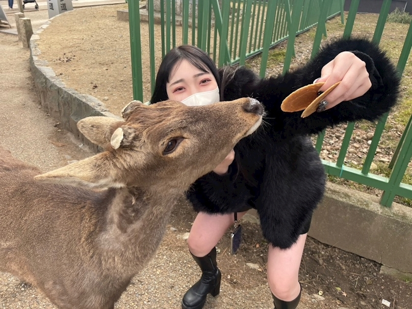 ひなた