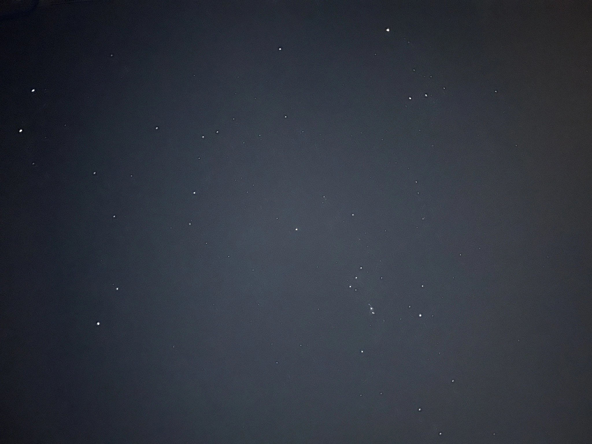 星葉 らなん