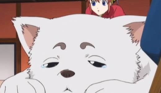 京 さゆみ