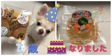 愛乃 悠稀